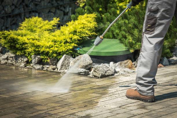 Best Driveway Pressure Washing  in Deming, NM