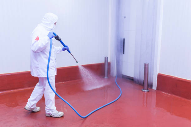 Playground Equipment Cleaning in Deming, NM